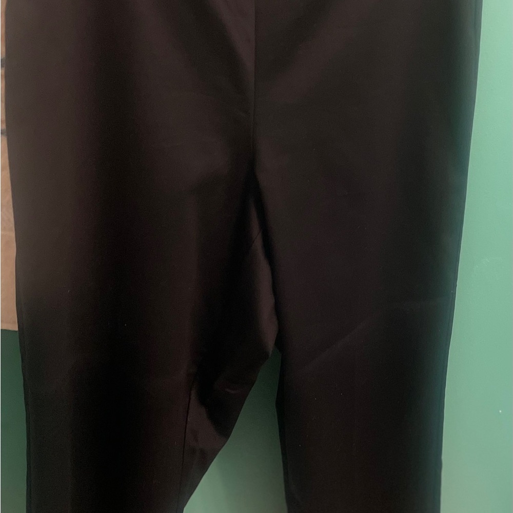 Alfred Dunner Womens 16 Pants, Pull On/ Back Elastic Waistband - Picture 11 of 16